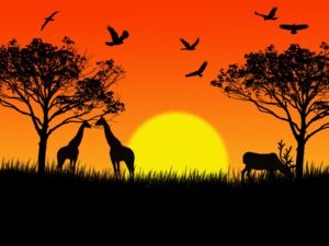 WhatsApp Image 2025-11-19 at 7.50.19 PM